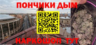 Альфа ПВП Сланцы