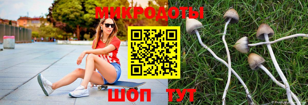 Псилоцибиновые грибы Psilocybine cubensis  Вход с VPN  Псилоцибиновые грибы мухоморы  Бахчисарай 